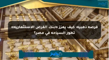 فرصة ذهبية: كيف يعزز «بنك الفرص الاستثمارية» تطور السياحة في مصر؟